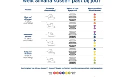 Hoofdkussen Silvana Royal