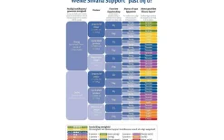 Kopfkissen Silvana Support Grenat