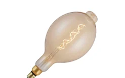 Lichtquelle Lichtbron